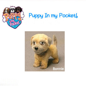 PUPPY IN MY POCKET Bonnie