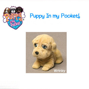 PUPPY IN MY POCKET Wrinky