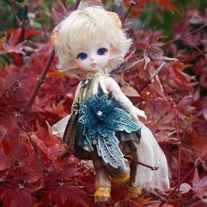 Tiny Delf SATYRESS Choco Cookie ver Limited