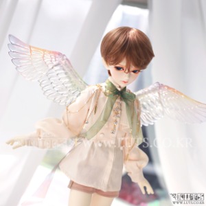 WINGS PARTS Pearl Transparent Skin Limited  For HDF~MDF