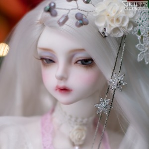 Model Delf ANN Romance ver  LADY GHOST Limited